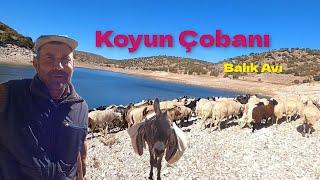 Çobanlık Zor İş - Çoban Sohbeti ve Gölde Balık Avı #hayvancılık #balıkavı