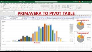 Primavera to Pivot Table