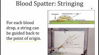 7 8 Blood Spatter Point of Origin Recorded