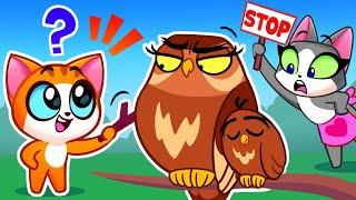 Don't Tease Animals  Wild Animals Aren't Pets + More Full Animated Stories for Kids  Purr-Purr