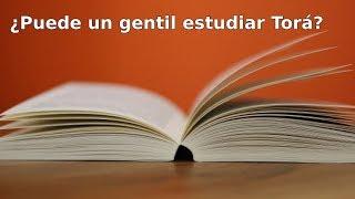 Q&A - ¿Puede un gentil estudiar Torá?