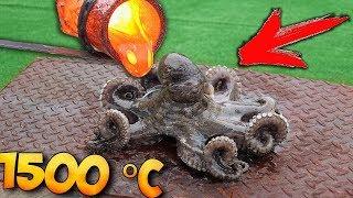 EXPERIMENT: WHAT IF to COOK in LAVA - OCTOPUS ?