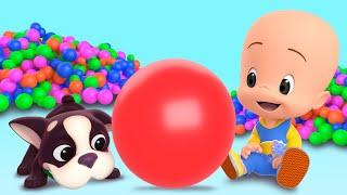 Cuquin's ball: learn the colors  | videos & cartoons for babies