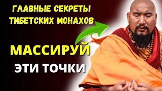 Тибетский эликсир молодости. 15 секретов активного долголетия от самых загадочных монахов