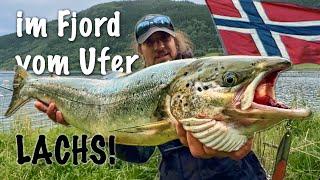 LACHS! Im Fjord vom Ufer: Angeln in Norwegen!