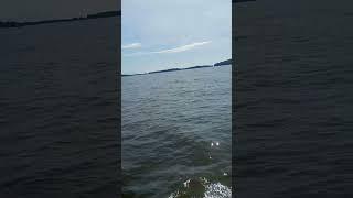 tour of the lake side #beach #youtubeshorts #subscribe #viral #support