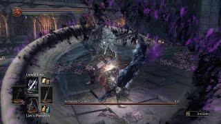 Fighting this Boss like an Anime Protagonist - Dark Souls 3 The Convergence (Archdruid Caimar) (NG+)