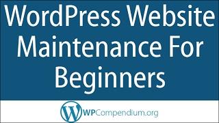 WordPress Website Maintenance For Beginners