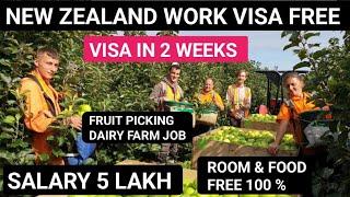 New zealand  Free work visa 2025 | Free Visa & Food BY Company