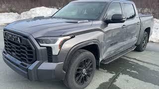 GoRhino RB30 Running Boards on 2022 Tundra