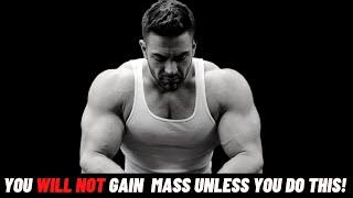 Everything You Need To Know To Gain More Mass!