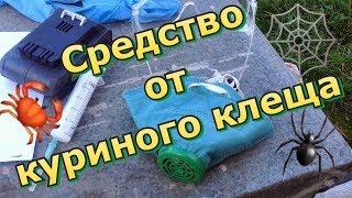 Средство от куриного клеща  / Борьба продолжается ‍️ / Видео не для всех 