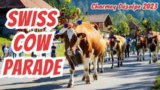 SWISS COW PARADE | POV experience at the 2023 Désalpe in Charmey, Switzerland | Swiss Culture