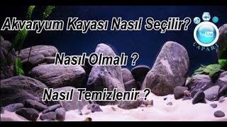 Akvaryum Kayası Nasıl Olmalı