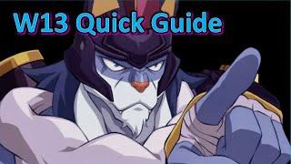 W13 Quick Guide