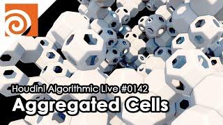 Houdini Algorithmic Live #142 - Aggregated Cells