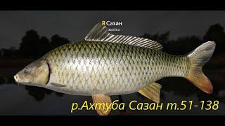 Russian Fishing 4 /Русская рыбалка 4 ▶ р.Ахтуба Сазан и Толстолобик