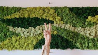 EASY DIY moss wall art statement piece!! 