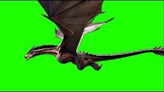 Flying dragon Green Screen 4k