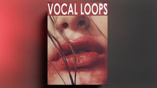 FREE DOWNLOAD FEMALE VOCAL SAMPLE PACK - "VOL.52" [vocal samples]