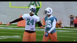 Hard Knocks: Dolphin's Fights & Heated Moments