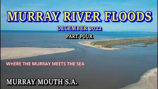 Murray River Floods 2022 / Part Four - The Murray Mouth