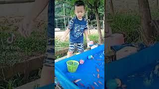 Dapet ikan Dede mbul #tiktok #shorts