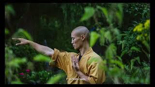 Shaolin Master Shi Heng Yi - 5 Hindrances to Self Mastery!!(tedx speech audio)