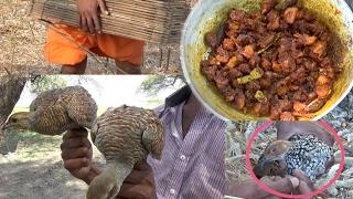 Village Guys Catching Partridge birds, Make Partridge Curry in village style, Kouju pitta Kura