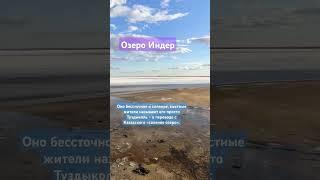 Озеро Индер #индер #казахстан #соляноеозеро #озеро #путешествия #travel #kazakhstan #грязь