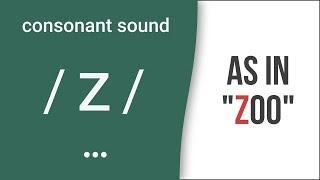 Consonant Sound / z / as in "zoo" – American English Pronunciation