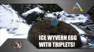 Ark Survival Evolved - Ice Wyvern egg with triplets! (Ragnarok)