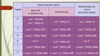 Русский язык. Падежные формы притяжательных прилагательных