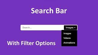 Search Bar With Filter Options Using html css and javascript | Design.