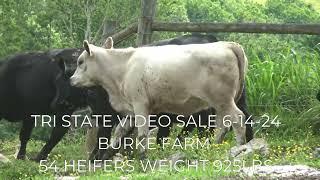 TRI STATE VIDEO SALE 6-14-24