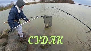 На что клюёт трофейный Судак?!