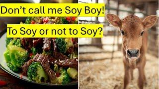 Don't call me Soy Boy: To Soy or not to Soy