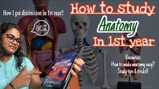 How to study anatomy in 1st year - a complete guide #mbbs #1styearmbbs