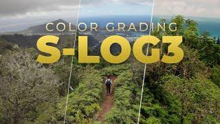 How to Color Grade S-LOG3 in Premiere Pro!