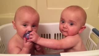 Twins Share A Pacifier | Cutest Moments | KYOOT