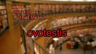 What does ovotestis mean?