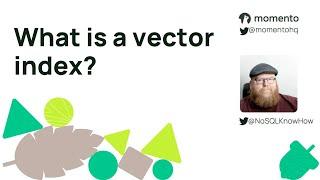 What is a vector index?