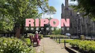 What kind of life do I want?  A day in Ripon, UK: cathedral concert and daydreaming by the canal.