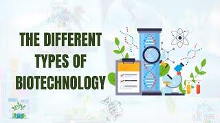 The Different Types Of Biotechnology You Need To Know About