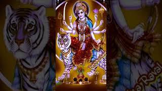 jai Maa kuldevi #youtube #shortvideo #sherawalimaastatus #ambemaa