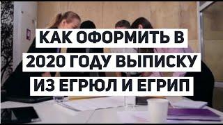 Как оформить выписку из ЕГРЮЛ и ЕГРИП в 2020 году