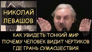  Н.Левашов: Как увидеть тонкий мир. Почему человек видит чертиков. Где грань сумасшествия