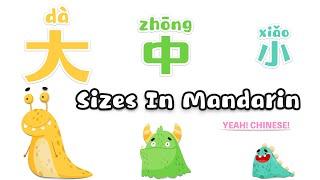 Sizes in Mandarin Chinese | Learn to say 'BIG, MEDIUM & SMALL' in Mandarin Chinese | 学中文‘大中小’