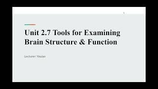 AP PSYCH COURSE #11: Unit 2.7 Tools for Examining Brain Structure and Function