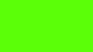 green screen - cewe tiktok goyang hot 1